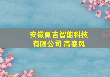 安徽佩吉智能科技有限公司 高春风